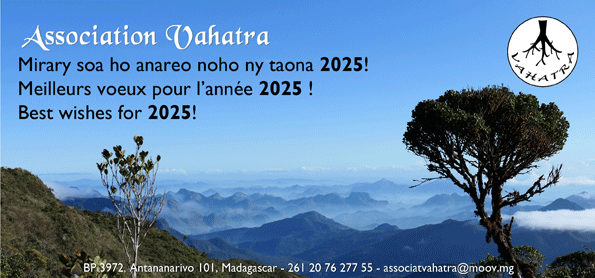 2025